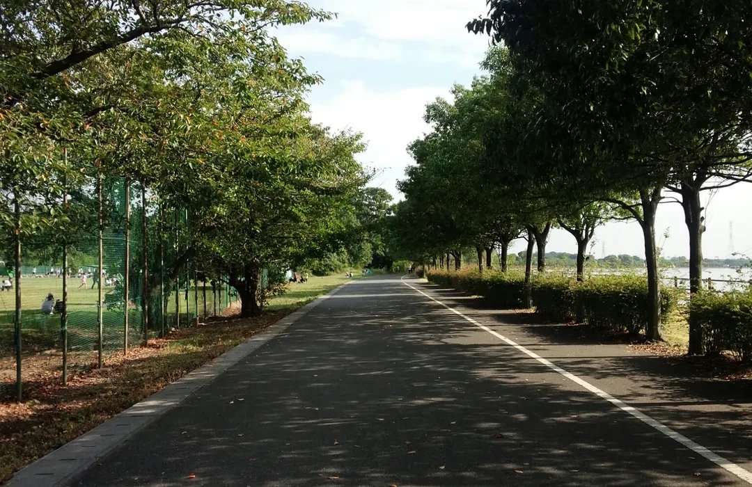 🏞️ 아라카와 사이코 공원(荒川彩湖公園) 이미지 4